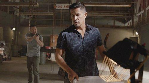 Background image for A Fire in the Ashes