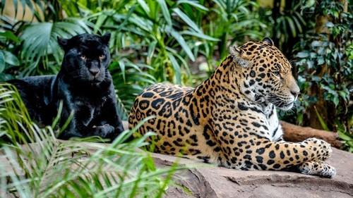 Background image for Baby on Board