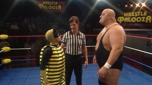 Married... with Children Season 10 Episode 7 - Flight of the Bumblebee