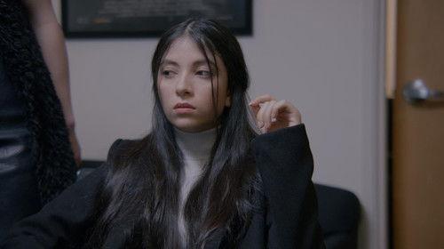 Background image for The Pitch