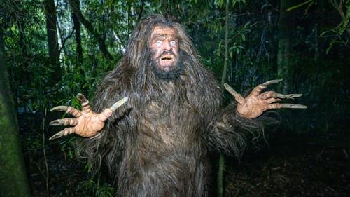 Background image for Te Maero