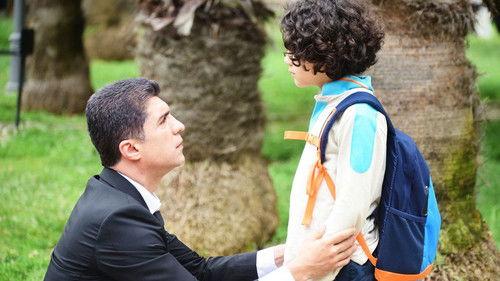 Istanbullu Gelin Season 1 Episode 15 - Episode 15