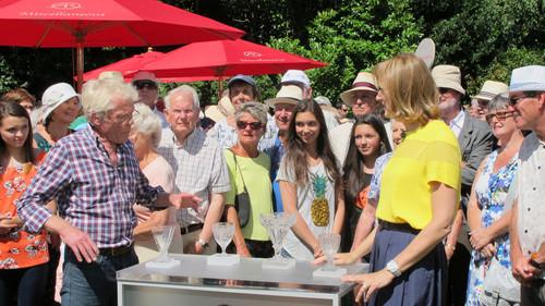 Antiques Roadshow Season 38 Episode 11 - Walmer Castle 1