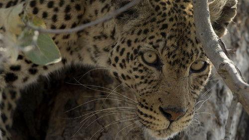 Savage Kingdom Season 1 Episode 1 - Clash of Queens