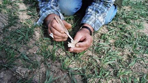 Buried In The Backyard Season 4 Episode 2 - The Bones on Party Hill