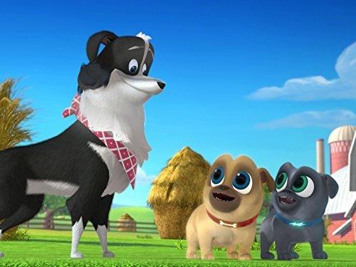 Puppy Dog Pals Season 1 Episode 12 - Putting It Together