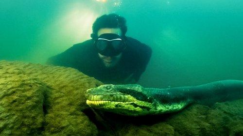 David Blaine Do Not Attempt Season 1 Episode 1 - Brazil