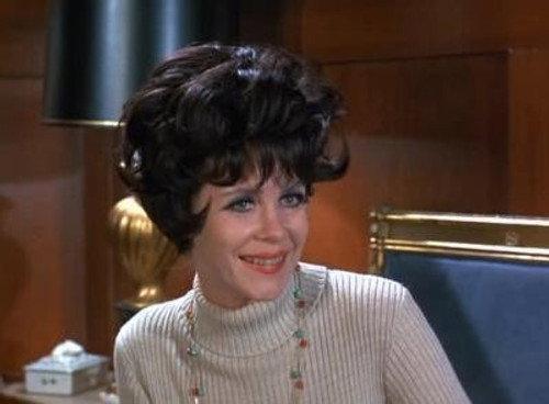 Bewitched Season 8 Episode 17 - Serena's Richcraft