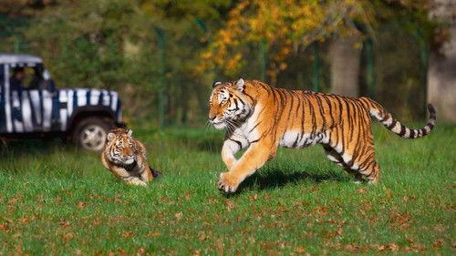 Animal Park Season 24 Episode 2 - Christmas 2024: Episode 2