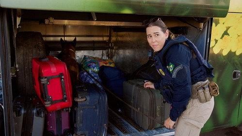 Border Control: Brazil Season 4 Episode 9 - Episode 9