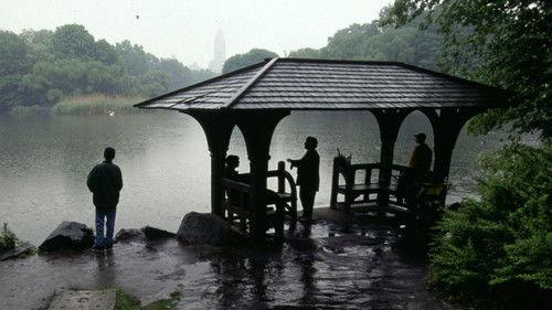 Homicide Season 1 Episode 2 - Central Park Slaying