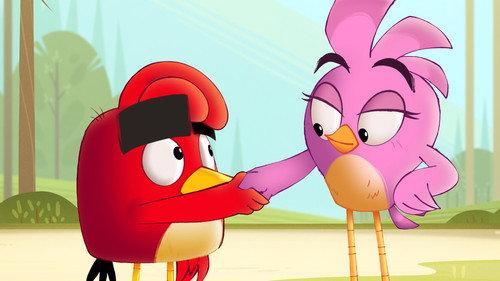 Angry Birds: Summer Madness Season 1 Episode 13 - The Golden Pineapple