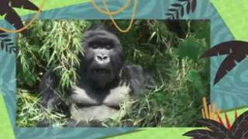 Kukurota Season 1 Episode 16 - Episode 16