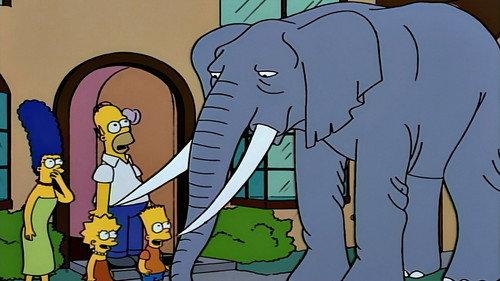 The Simpsons Season 5 Episode 17 - Bart Gets an Elephant