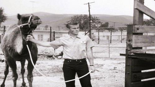 Route 66 Season 2 Episode 31 - Hell is Empty, All the Devils are Here