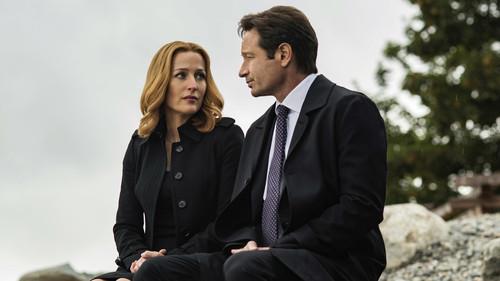 undefined Season 10 Episode 4 - Home Again