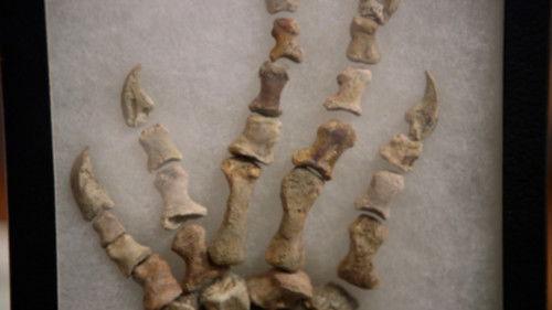 Pawn Stars Season 21 Episode 1 - Battle-Pawn