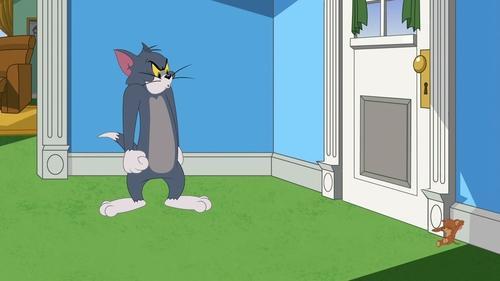 The Tom and Jerry Show Season 2 Episode 3 - One-Way Cricket