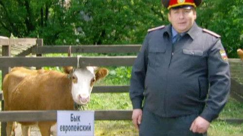 The Voronins Season 4 Episode 19 - Voroniny Season 4 Episode 19