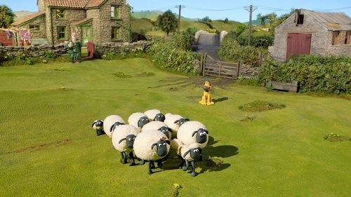 Shaun the Sheep Season 3 Episode 3 - The Shepherd