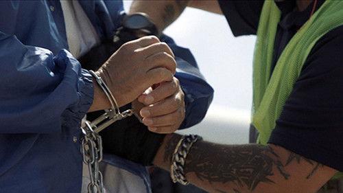 The Trade Season 2 Episode 1 - Episode 1