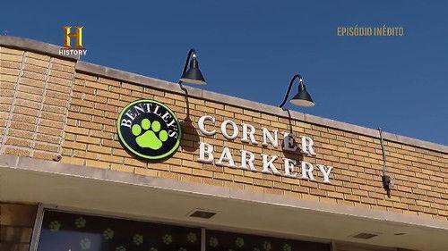 The Profit Season 3 Episode 10 - Bentley's Corner Barkery