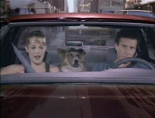 undefined Season 3 Episode 1 - Escape from New York