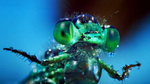 One Strange Rock Season 1 Episode 8 - Alien