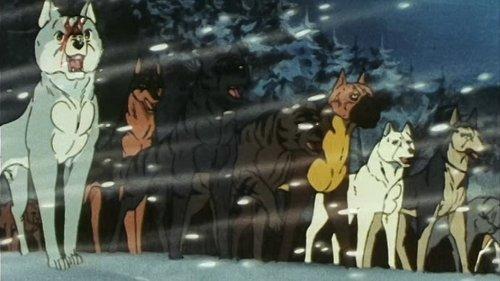 Silver Fang: The Shooting Star Gin Season 1 Episode 21 - Gin! Embark on the Journey of a New Male!