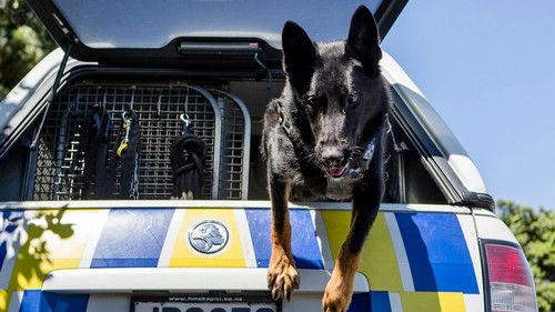 Dog Squad Season 12 Episode 2 - Episode 2