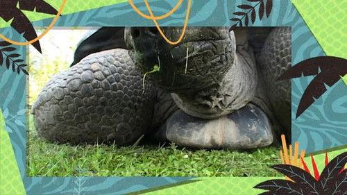 Kukurota Season 2 Episode 12 - Episode 12