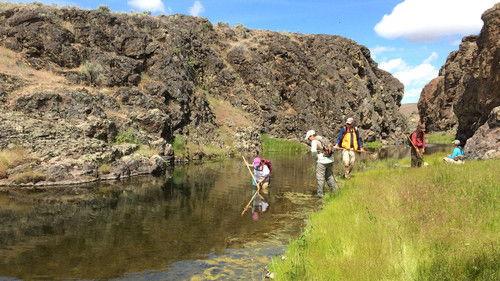 Oregon Field Guide Season 27 Episode 5 - Frogs, Halfway Calendar,