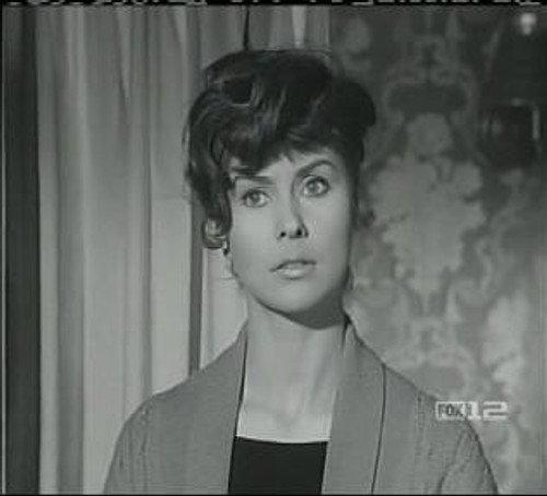 Perry Mason Season 8 Episode 15 - The Case of the Frustrated Folk Singer