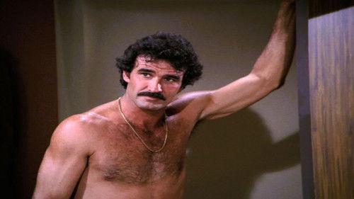 Dynasty Season 3 Episode 9 - Acapulco