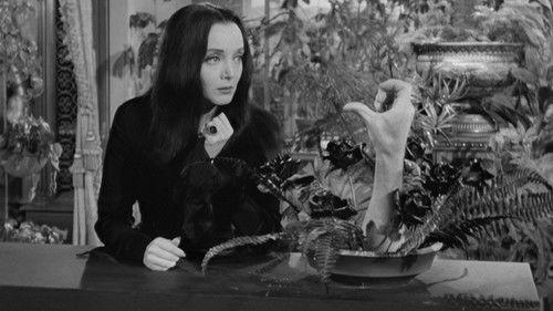 The Addams Family Season 1 Episode 8 - Green-Eyed Gomez