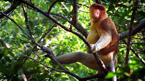 Background image for Episode 6