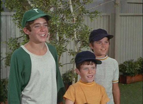 The Brady Bunch Season 2 Episode 1 - The Dropout