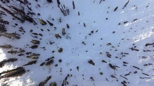 Life Below Zero: Next Generation Season 6 Episode 1 - A Wild Life