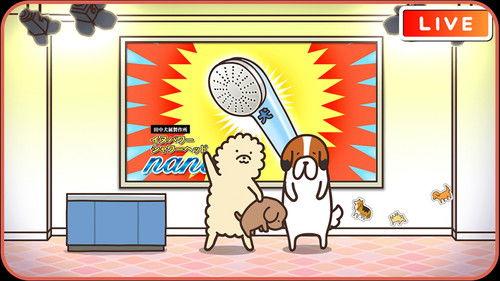 Harimaware! Koinu Season 1 Episode 22 - Episode 22