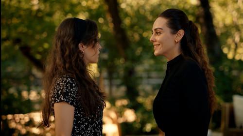 Arafta Season 1 Episode 10 - Episode 10