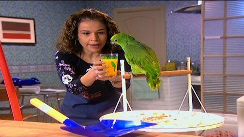 A Diarista Season 3 Episode 9 - Aquele do Papagaio