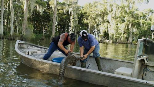 Swamp People Season 10 Episode 6 - Bringing the Heat