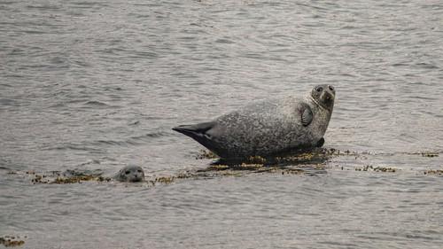 Dawid Andres z buta Season 1 Episode 5 - Episode 5