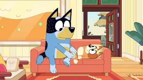 Bluey Minisodes Season 1 Episode 2 - Bingo 3000