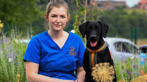 24/7 Pet Hospital Season 1 Episode 5 - Episode 5