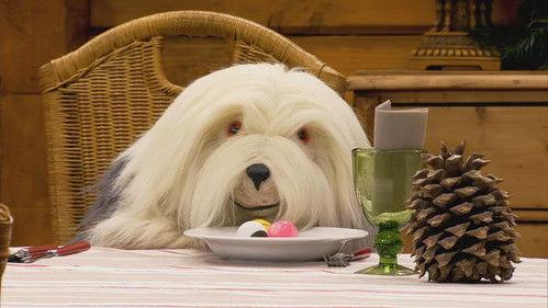 Samson en Gert: Winterpret Season 1 Episode 14 - Komen Eten