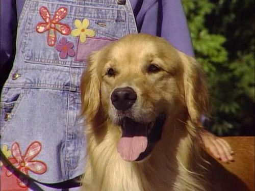 Full House Season 8 Episode 1 - Comet's Excellent Adventure