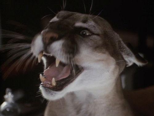 Background image for An Eye for an Eye