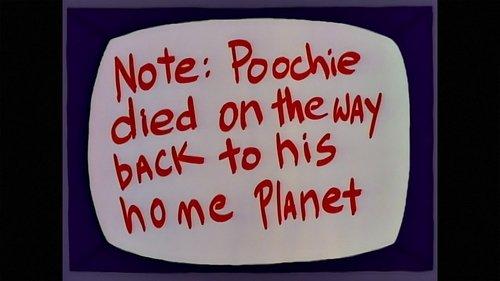 Background image for The Itchy & Scratchy & Poochie Show