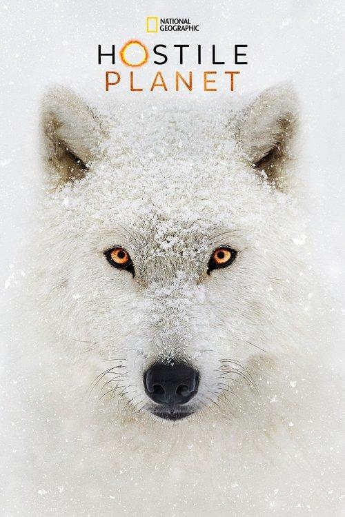 Hostile Planet poster